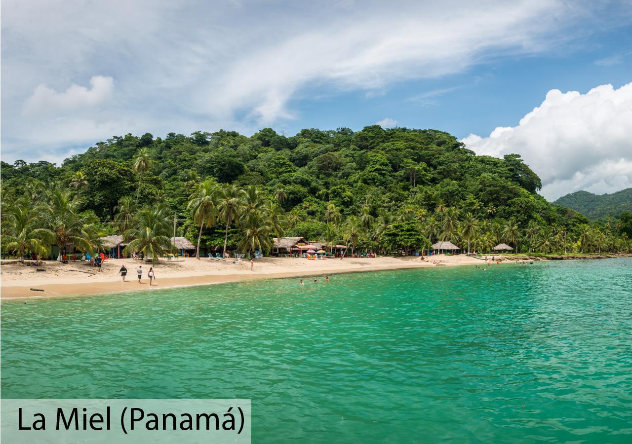 Tacarcuna Lodge Capurganá Eksteriør bilde