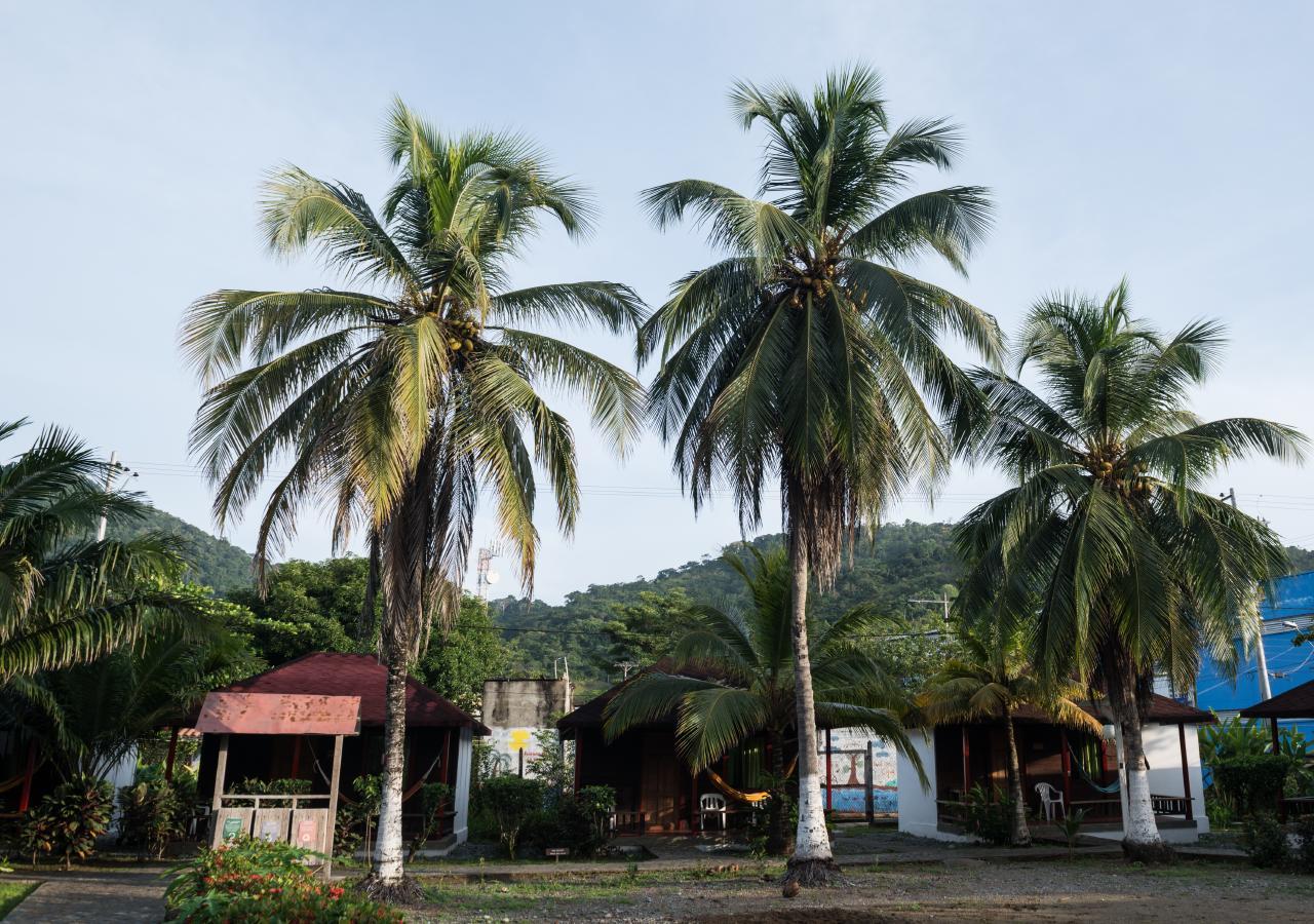 Tacarcuna Lodge Capurganá Eksteriør bilde