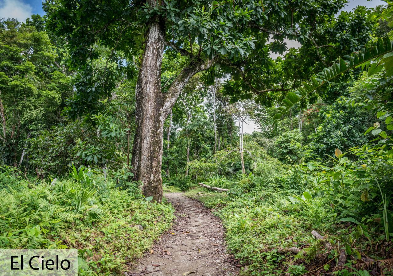 Tacarcuna Lodge Capurganá Eksteriør bilde