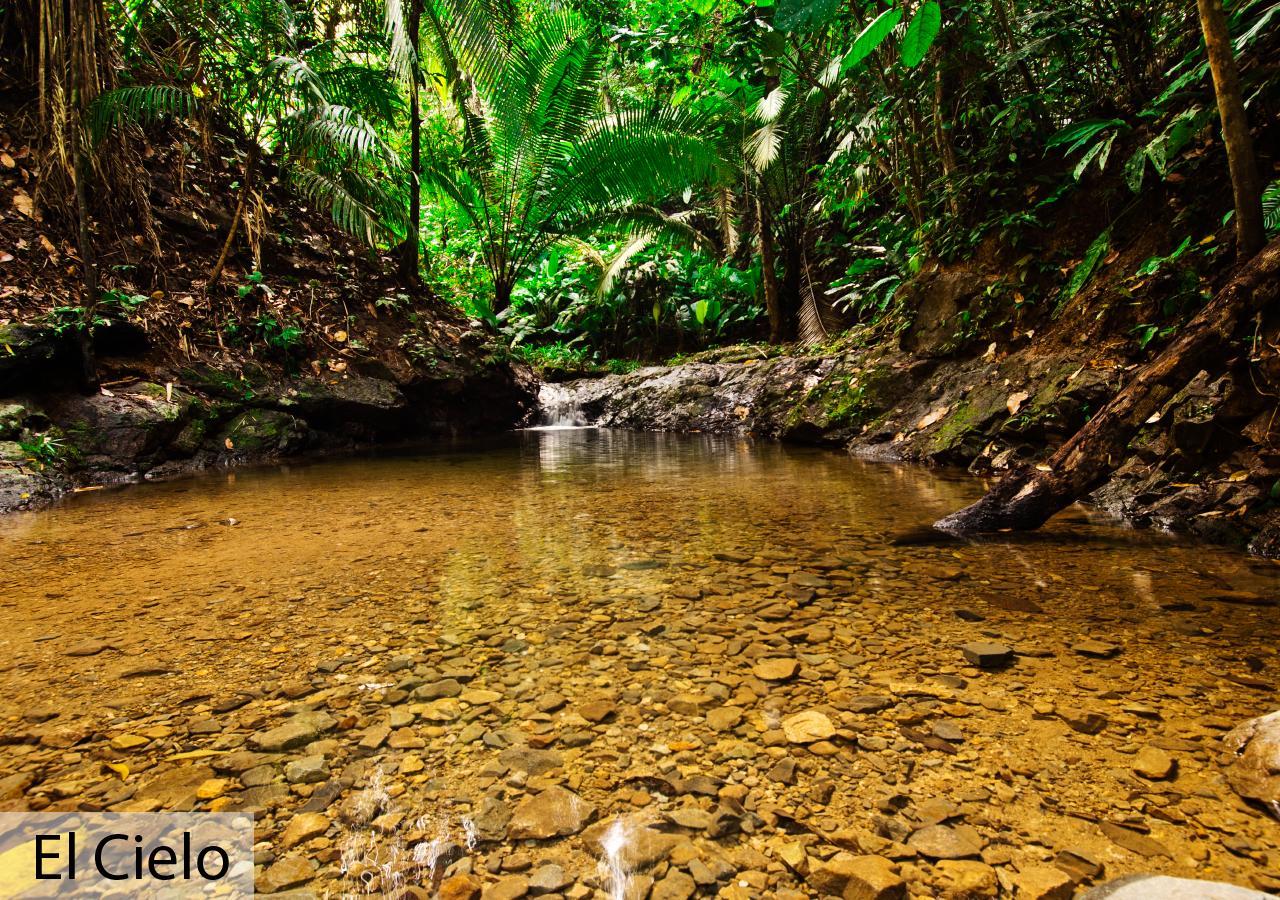 Tacarcuna Lodge Capurganá Eksteriør bilde